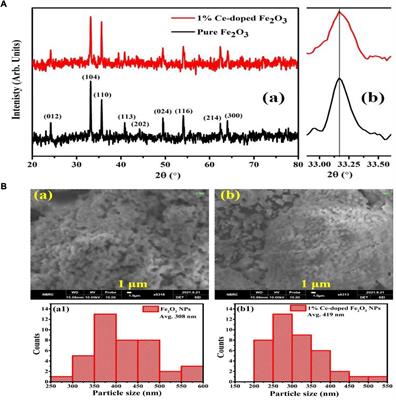 Investigating the role of bentonite clay with different soil amendments to minimize the bioaccumulation of heavy metals in Solanum melongena L. under the irrigation of tannery wastewater